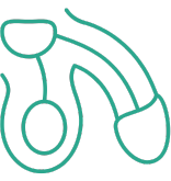 包茎手術（包皮環状切除術）