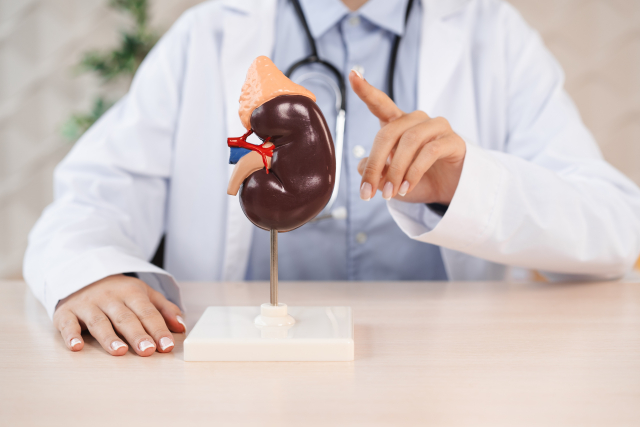 多発性嚢胞腎について